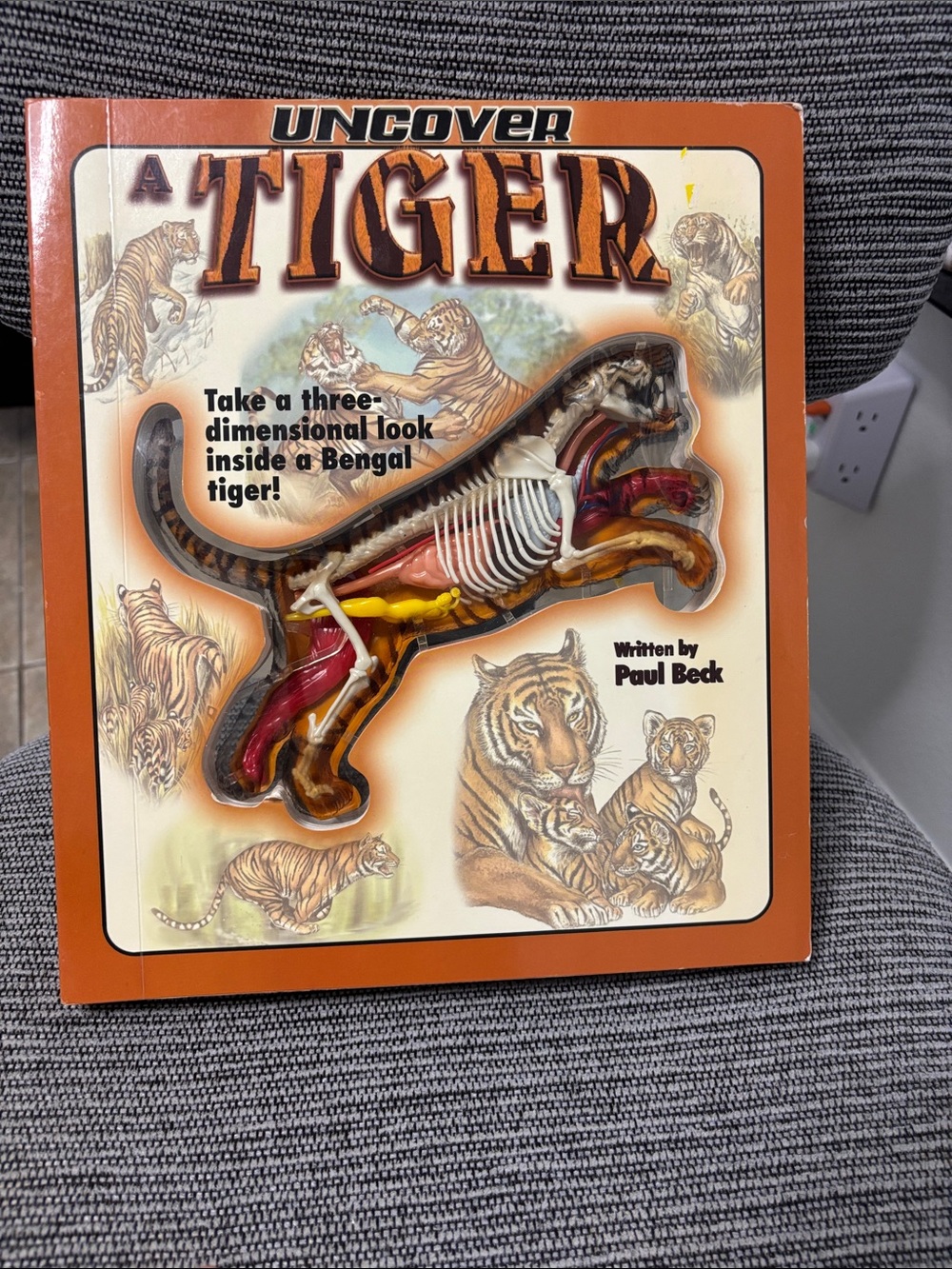 Reptile Department - Subcategory Selection